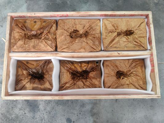 Trục vít và xi lanh máy đùn cho máy tái chế nhựa