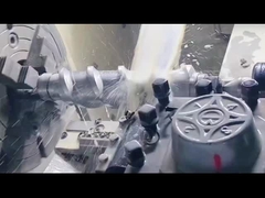 Hiệu suất cao Twin Screw Extruder Viên viền chống mòn