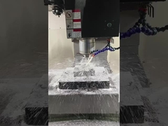 Hiệu suất cao Twin Screw Extruder Viên viền chống mòn