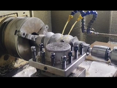 Berstoff Twin Screw Extruder Screw Segments và thùng